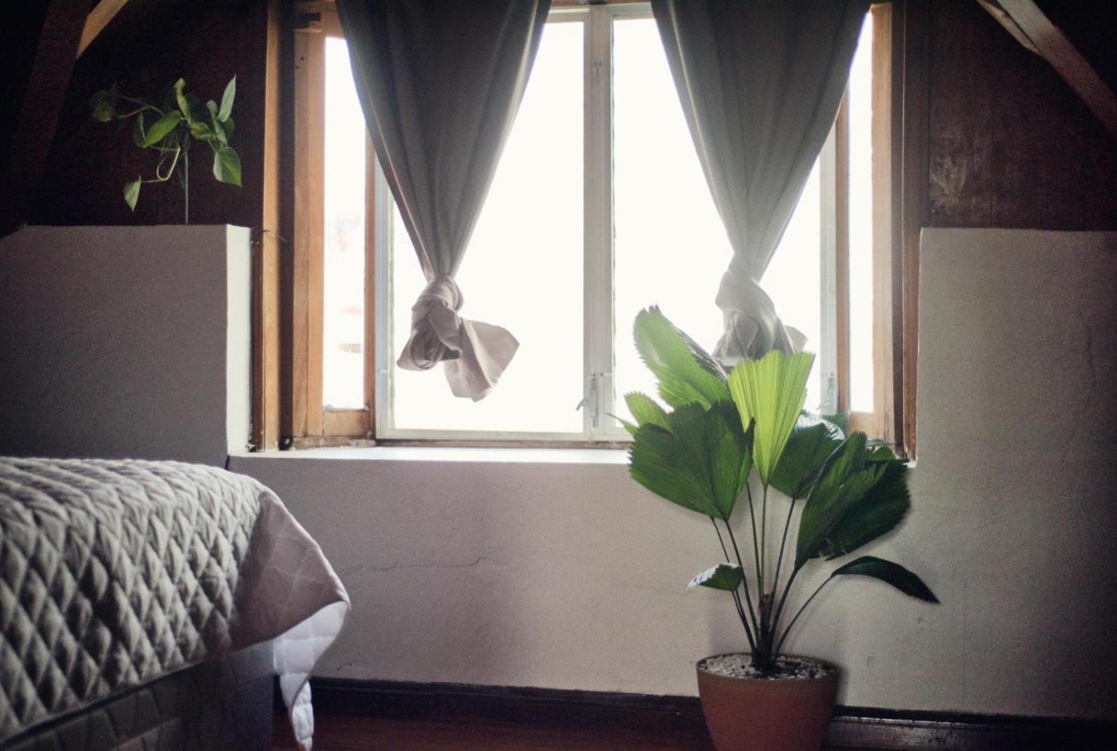 Hostal Don Cenobio Флорес Экстерьер фото