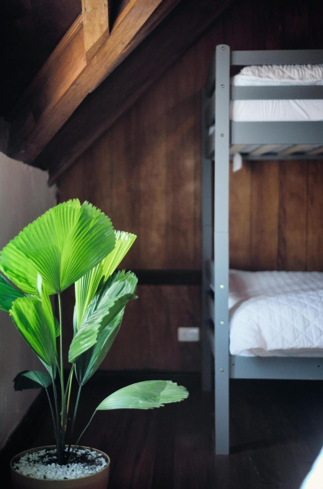 Hostal Don Cenobio Флорес Экстерьер фото